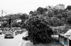 AND_6561